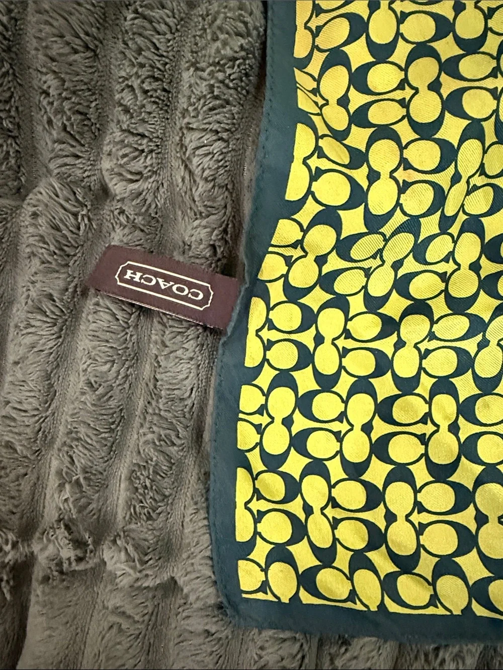Coach Green Silk Square Scarf